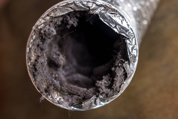 Best Local Air Duct Cleaning Services  in Savage, MD